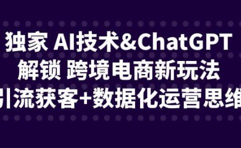 独家 AI技术ChatGPT解锁 跨境电商新玩法,引流获客+数据化运营思维