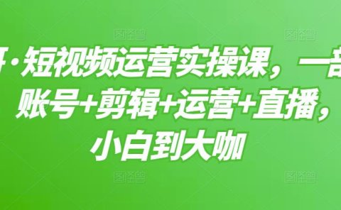 短视频运营实操课，一部手机，账号+剪辑+运营+直播，从小白到大咖