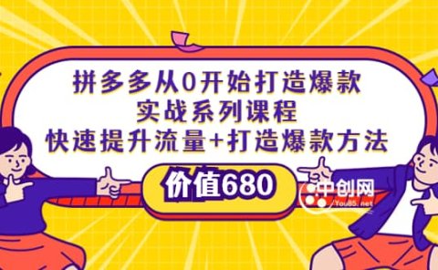 拼多多从0开始打造爆款实战系列课程：快速提升流量+打造爆款方法