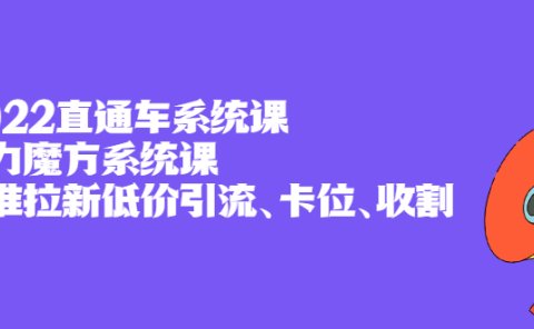 2022直通车系统课+引力魔方系统课，精准拉新低价引流、卡位、收割
