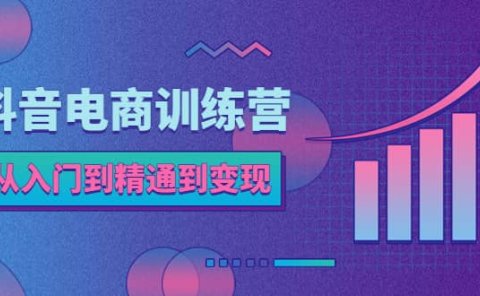 抖音电商训练营：从入门到精通，从账号定位到流量变现，抖店运营实操