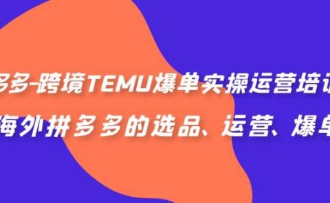 拼多多-跨境TEMU爆单实操运营培训班,海外拼多多的选品、运营、爆单