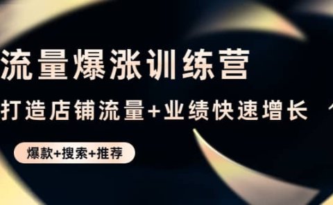 流量爆涨训练营:打造店铺流量+业绩快速增长 (爆款+搜索+推荐)