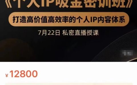 个人IP吸金密训班，打造高价值高效率的个人IP内容体系（价值12800元）