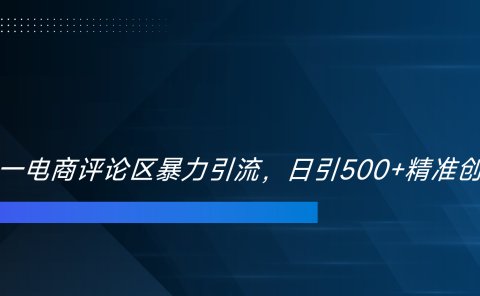 双十一电商评论区暴力引流，日引500+精准创业粉！！！