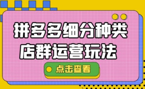 拼多多细分种类店群运营玩法3.0，11月最新玩法，小白也可以操作