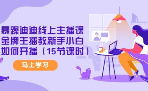 暴躁迪迪线上主播课，金牌主播教新手小白如何开播（15节课时）