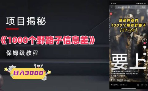 1000个野路子信息差保姆式教程-单日变现3000+的玩法解密