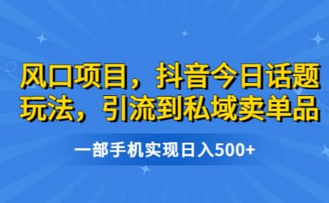 风口项目,抖音今日话题玩法,引流到私域卖单品,一部手机实现日入500+