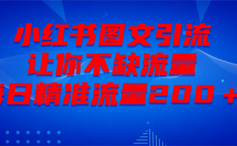 最新！小红书图文引流，全面解析日引300私域流量，是怎样做到的！