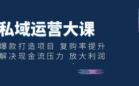私域运营大课:爆款打造项目 复购率提升 解决现金流压力 放大利润