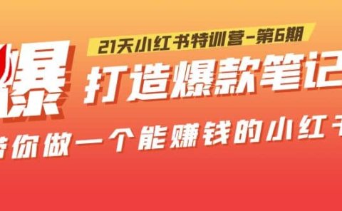 21天小红书特训营-第6期，打造爆款笔记，带你做一个能赚钱的小红书
