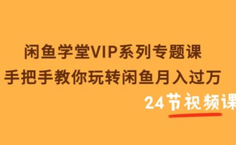 闲鱼学堂VIP系列专题课：手把手教你玩转闲鱼月入过万（共24节视频课）