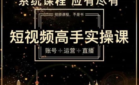 短视频高手实操课：账号+运营+直播，从入门到精通，系统课程，应有尽