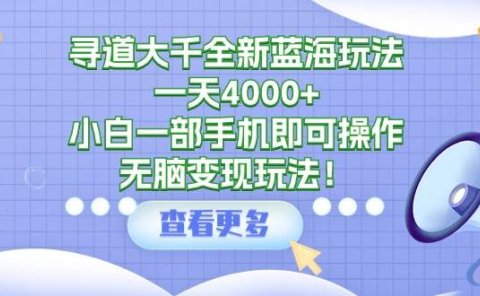 寻道大千全新蓝海玩法,一天4000+,小白一部手机即可操作,无脑变现玩法!