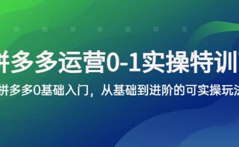 拼多多-运营0-1实操训练营,拼多多0基础入门,从基础到进阶的可实操玩法