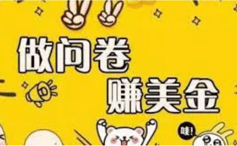 外边收费四五千的国外问卷调查项目，单人一天操作100美元，真正的搬砖项目