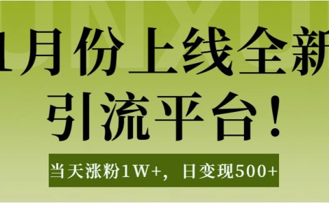 1月上线全新引流平台，当天涨粉1W+，日变现500+工具无脑涨粉，解放双手操作简单