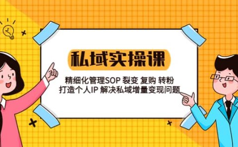 私域实战课程:精细化管理SOP 裂变 复购 转粉 打造个人IP 私域增量变现问题