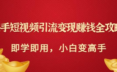快手短视频引流变现赚钱全攻略：即学即用，小白变高手（价值980元）