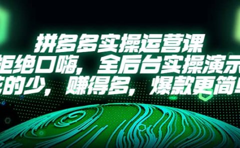 拼多多实操运营课：拒绝口嗨，全后台实操演示，花的少，赚得多，爆款更简单