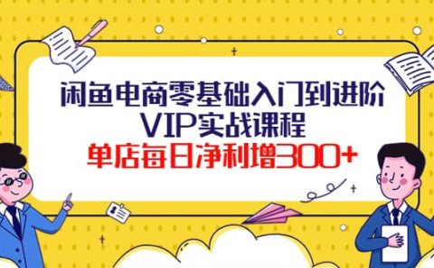 闲鱼电商零基础入门到进阶VIP实战课程