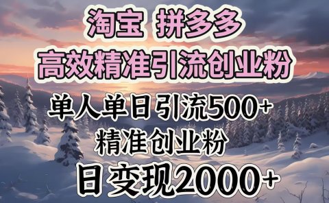 淘宝拼多多高效精准引流创业粉，单人单日引流500＋创业粉，日变现2000＋