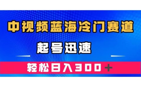 中视频蓝海冷门赛道,韩国视频奇闻解说,起号迅速,日入300+