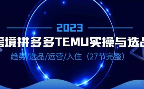 2023跨境·拼多多·TEMU实操与选品,趋势·选品·运营·入住(27节完整)