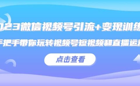2023微信视频号引流+变现训练营：手把手带你玩转视频号短视频和直播运营