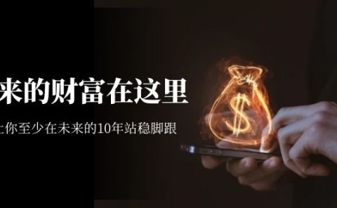 某收费文章《未来的财富在这里》能让你至少在未来的10年站稳脚跟