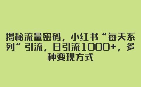 揭秘流量密码，小红书“每天系列”引流，日引流1000+，多种变现方式