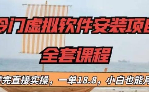 冷门虚拟软件安装项目,一单18.8,小白也能月入3W+