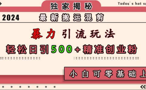 最新搬运混剪暴力引流玩法，轻松日引500+精准创业粉，小白可零基础上手