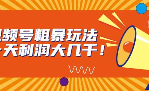 视频号粗暴玩法,一天利润大几千