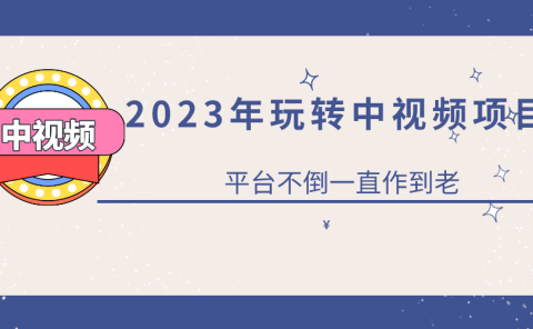 2023一心0基础玩转中视频项目:平台不倒,一直做到老