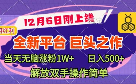 全新引流平台，巨头之作，当天无脑涨粉1W+，日入现500+，解放双手操作简单