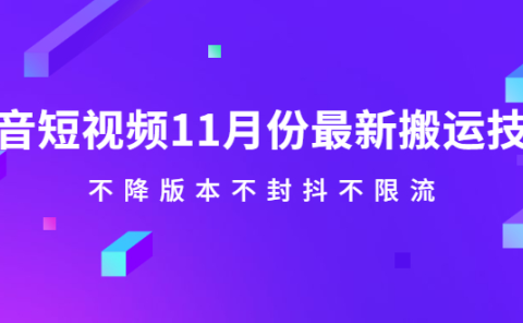 抖音短视频11月份最新搬运技术,不降版本不封抖不限流!【视频课程】