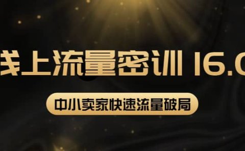 2022秋秋线上流量密训16.0：包含 暴力引流10W+中小卖家流量破局技巧 等等！