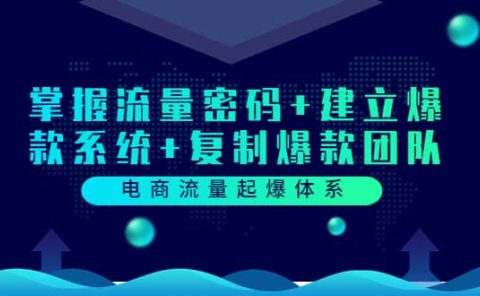 电商流量起爆体系：掌握流量密码+建立爆款系统+复制爆款团队（价值599）