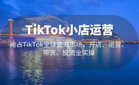 TikTok小店运营 抢占TikTok全球蓝海市场，开店、运营、带货、投流全实操