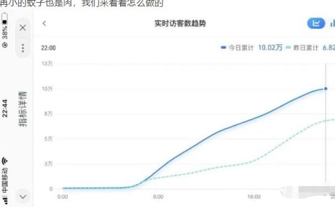 无货源店群教程,朋友圈那些几万访客的店是怎么做的