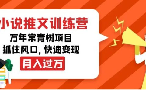 小说推文训练营，万年常青树项目，抓住风口