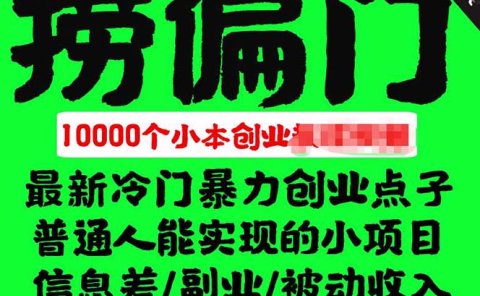 千款捞偏门小本创业小项目,总有一款适合你【无水印】