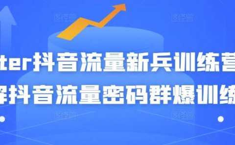 Peter抖音流量新兵训练营-破解抖音流量密码群爆训练营（新兵）