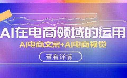 AI-在电商领域的运用线上课,AI电商文案+AI电商视觉(14节课)