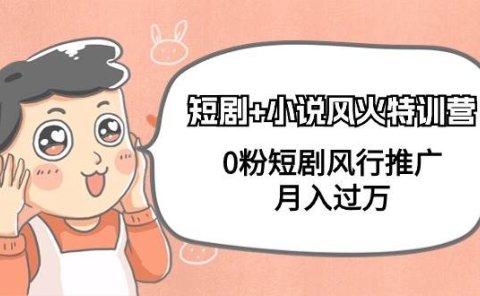 短剧+小说风火特训营,0粉短剧风行推广,月入过万(102节课)