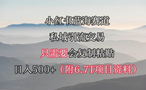 小红书短剧赛道,私域引流交易,会复制粘贴,日入500+(附6.7T短剧资源)