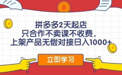 拼多多2天起店，只合作不卖课不收费，上架产品无偿对接日入1000+