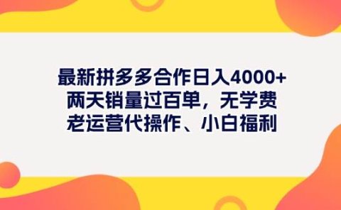 最新拼多多项目日入4000+两天销量过百单，无学费、老运营代操作、小白福利
